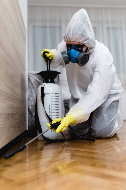 Best Residential Pest Control  in Pomona, CA